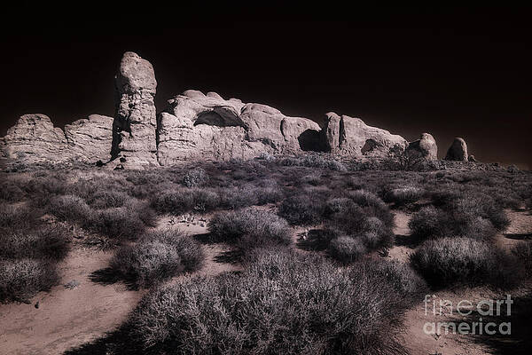 Arches within Arches by William Fields Arches within Arches by William Fields