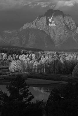 Wall Art - Photograph - Ashen Trees and Moran by David Andersen