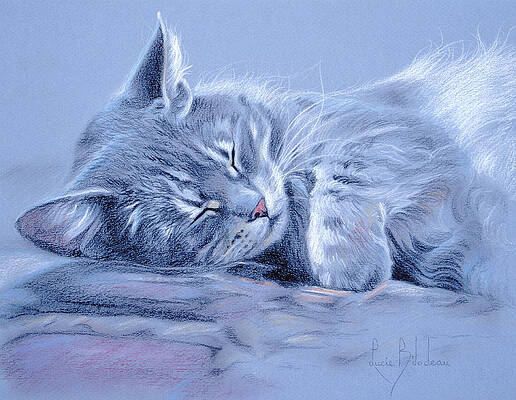 Cute Fluffy Cat On Watercolor Background Stock Illustration 1531725170   Shutterstock