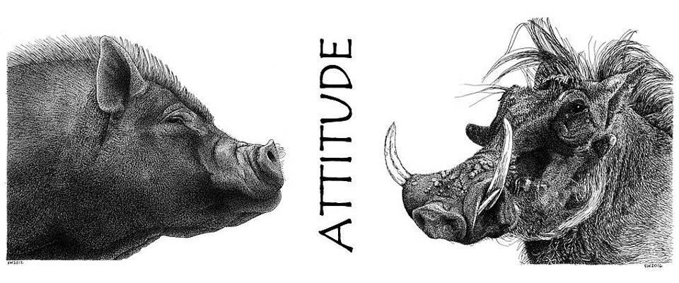 Attitude by Scott Woyak Attitude by Scott Woyak