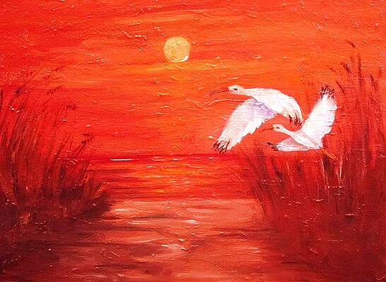 Auburn Nights by Carol Allen Anfinsen Auburn Nights by Carol Allen Anfinsen