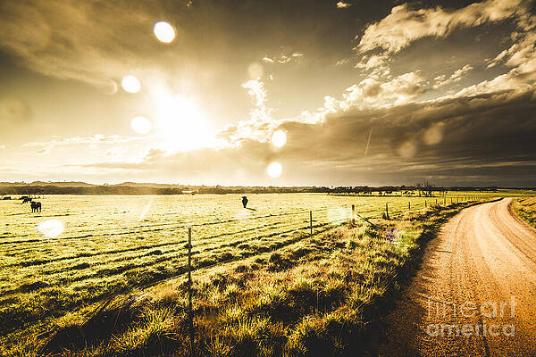 Wall Art featuring the photograph Australian Rural Dirt Road by Jorgo Photography