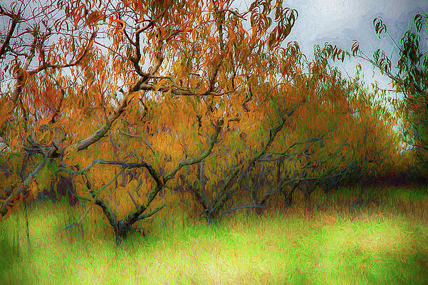 Peach Orchard Dusk Oil Painting Fall AI-generated image 2251670621