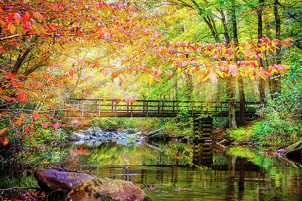Wall Art - Photograph - Autumn Light at the Bridge by Debra and Dave Vanderlaan