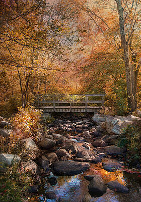 Wall Art - Photograph - Autumn Over The Bridge by Robin-Lee Vieira