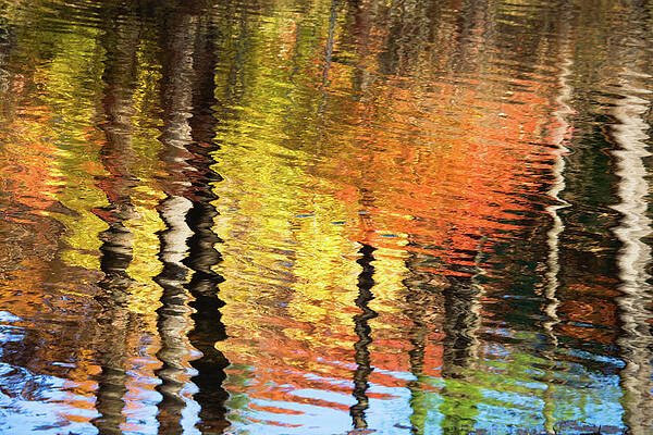 Wall Art - Photograph - Autumn Reflections-1 by Diane Macdonald