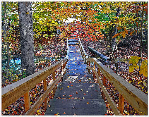 Autumn Walk by Vick Laney