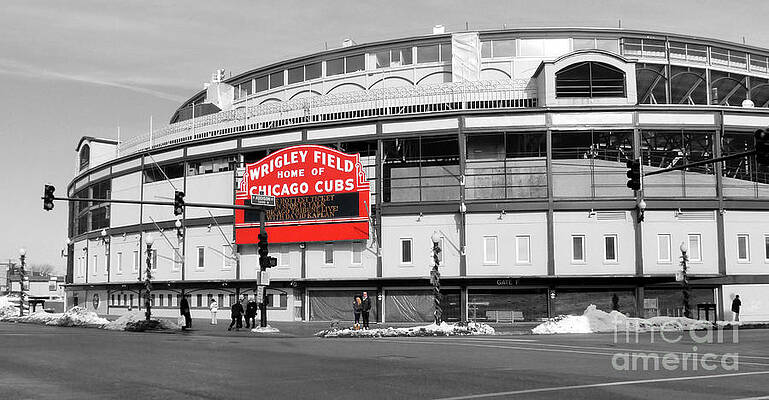 Wall Art - Photograph - B-W Wrigley 100 Years Young by David Bearden