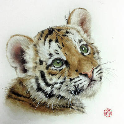 Paper Tiger Drawings | Fine Art America