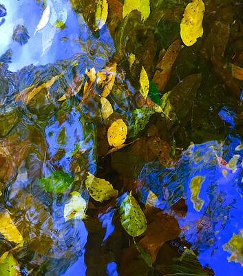Back to Nature #1 by Didi La Baysse Back to Nature #1 by Didi La Baysse