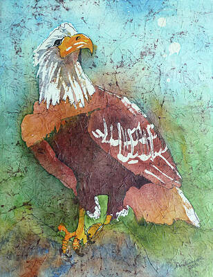 Bald Eagle by Ann Nunziata Bald Eagle by Ann Nunziata