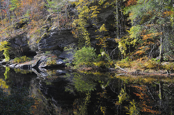 Bald River Autumn Reflection by Darrell Young