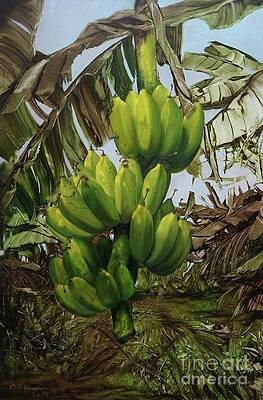 banana tree by Chonkhet Phanwichien banana tree by Chonkhet Phanwichien