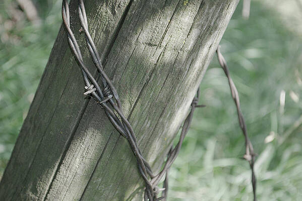 Barbwire Shadow by Troy Stapek Barbwire Shadow by Troy Stapek