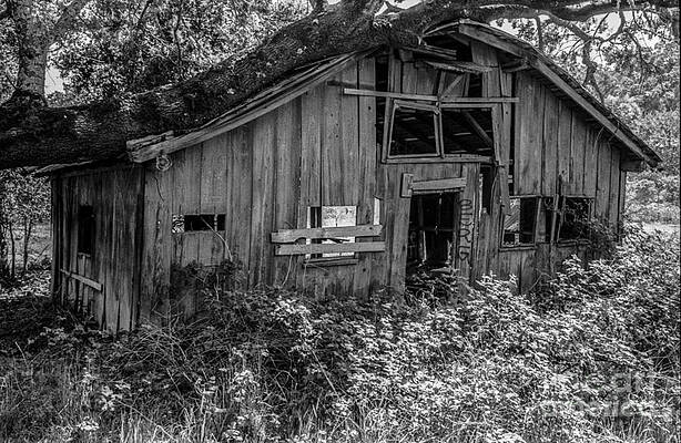 Barn at Fountain Grove Winery #2 by Steve Ruddy Barn at Fountain Grove Winery #2 by Steve Ruddy
