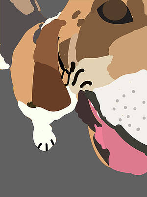 Basset Close Up by Caroline Elgin Basset Close Up by Caroline Elgin