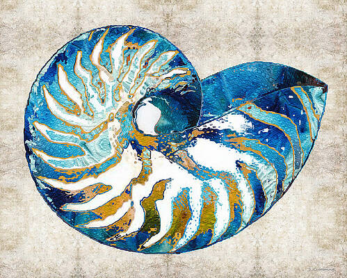 Beach Art - Nautilus Shell Bleu - Sharon Cummings by Sharon Cummings Beach Art - Nautilus Shell Bleu - Sharon Cummings by Sharon Cummings