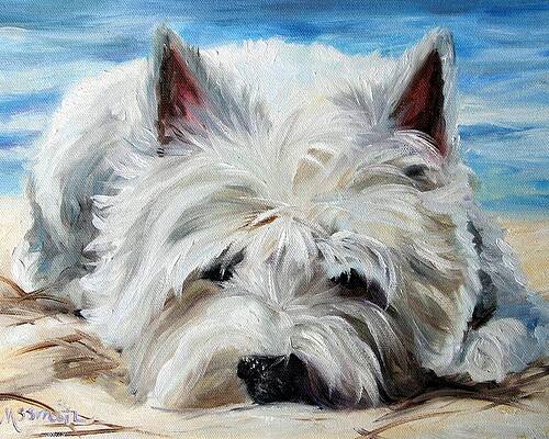 Sleeping Dog Paintings Fine Art America