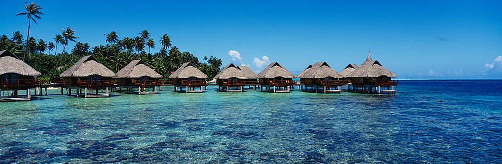 Beach Huts On Water Bora Bora French Photograph By Panoramic Images