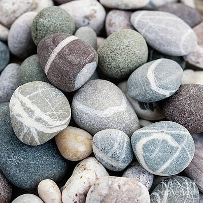 Beach pebbles close up by Elena Elisseeva Beach pebbles close up by Elena Elisseeva