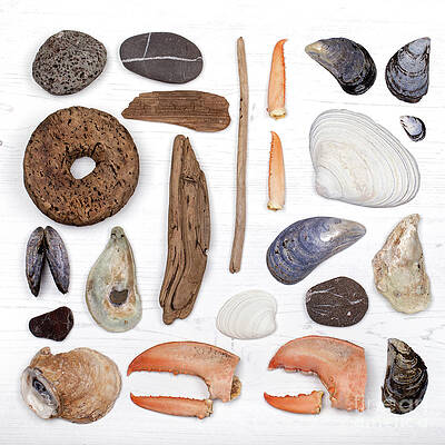 Wall Art - Photograph - Beach treasure flat lay by Jane Rix