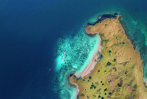 Wall Art - Photograph - Bear beach of Flores island, Indonesia by Pradeep Raja PRINTS