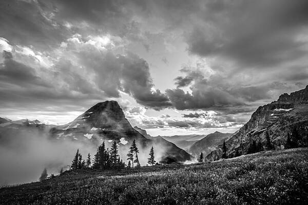 Wall Art - Photograph - Bearhat Mystique by Adam Mateo Fierro