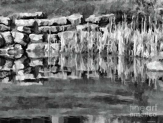 Wall Art - Photograph - Beginning and End by Roberta Byram