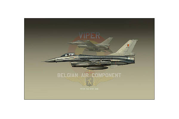 Belgian Viper XXL by Peter Van Stigt Belgian Viper XXL by Peter Van Stigt