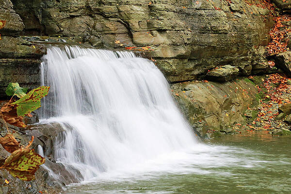 Wall Art - Photograph - Bell Falls by Gina Fitzhugh