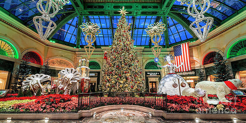 Wall Art - Photograph - Bellagio Christmas Tree at Dawn 2017 2 to 1 Ratio by Aloha Art
