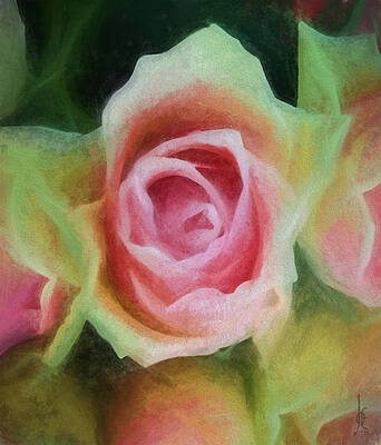 Belle Rose by Joe Arsenian