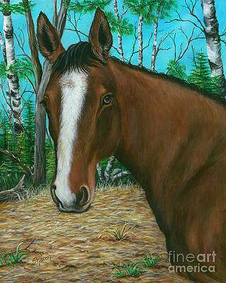 Belle by Sharon Molinaro Belle by Sharon Molinaro