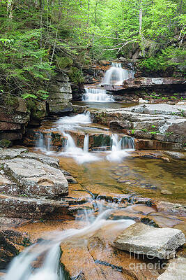 Wall Art - Photograph - Bemis Brook Falls - Harts Location New Hampshire by Erin Paul Donovan