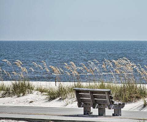 Bench at the Beach by Cathy Jourdan Bench at the Beach by Cathy Jourdan