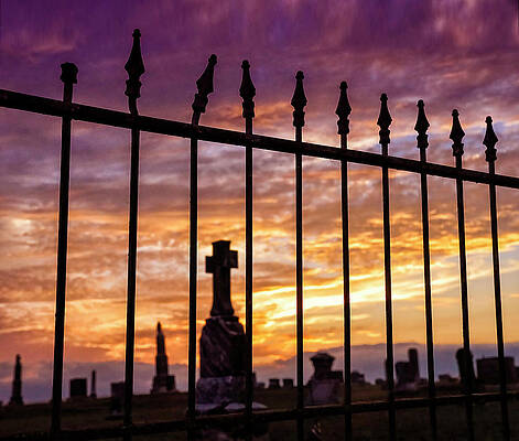 Beyond the Gate by Dianna Lynn Walker Beyond the Gate by Dianna Lynn Walker