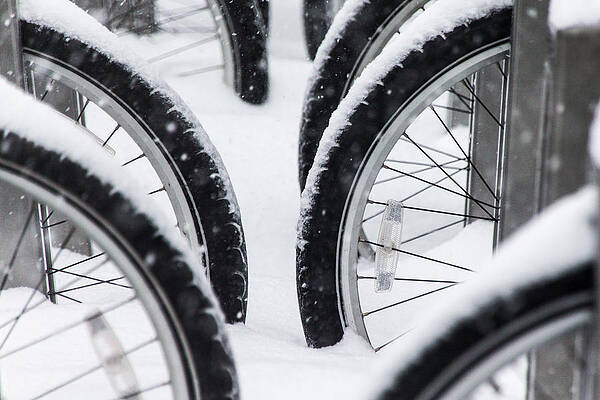 Wall Art - Photograph - Bicycles in Snow by SR Green