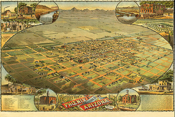 Bird's eye View of the City of Phoenix Arizona Print by C J Dyer