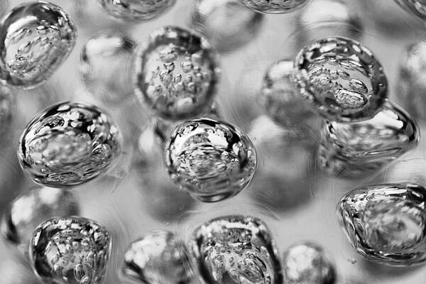 Black and White Bubbles by Scott Campbell Black and White Bubbles by Scott Campbell