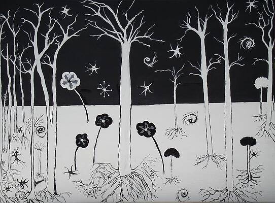  Painting - Black and White Poppies by Daniel Nadeau