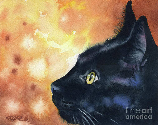 The Curious Black Cat Book of Magic Painting by Taiche Acrylic Art - Pixels