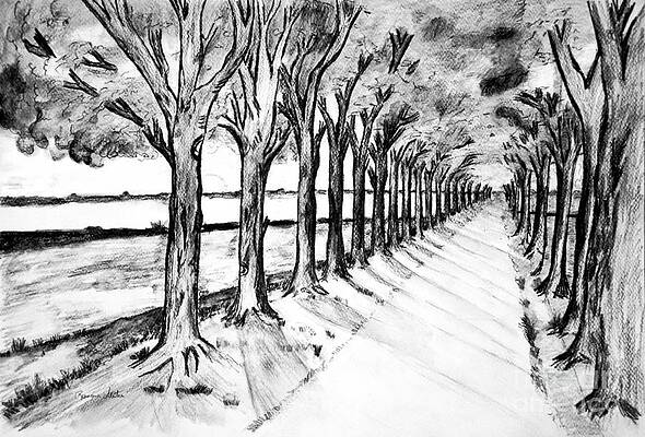 Wall Art - Drawing - Black Promenada by Ramona Matei