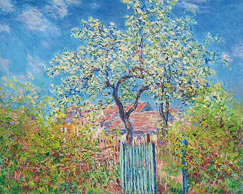 Blossoming Pear Tree Print by Claude Monet