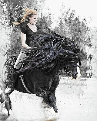 Blowing In The Wind by Jerry Cowart Blowing In The Wind by Jerry Cowart