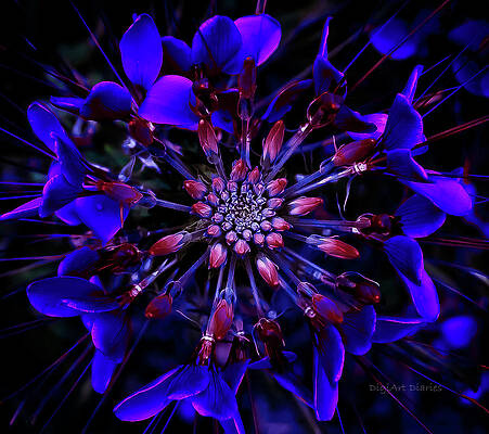 Blue Kaleidoscope by DigiArt Diaries by Vicky B Fuller Blue Kaleidoscope by DigiArt Diaries by Vicky B Fuller