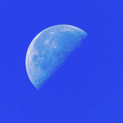 Small, Blue Moon NYLA Karen Top in Blue Moon