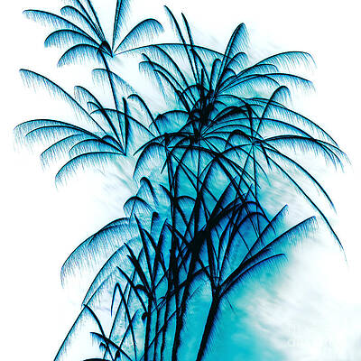 Wall Art - Photograph - Blue Palm Fireworks by Kaye Menner by Kaye Menner