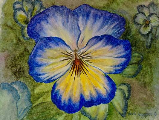 Blue Pansy by Jodi Higgins Blue Pansy by Jodi Higgins