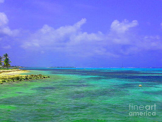 Wall Art - Photograph - Blue Paradise by Jerome Wilson