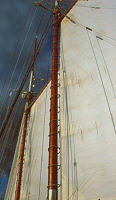 Bluenose sail by Dave Sullivan